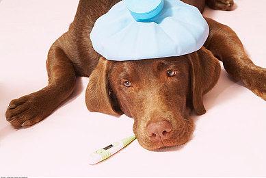 《毁灭战士：黑暗时代》PC配置公布 采用D加密系统